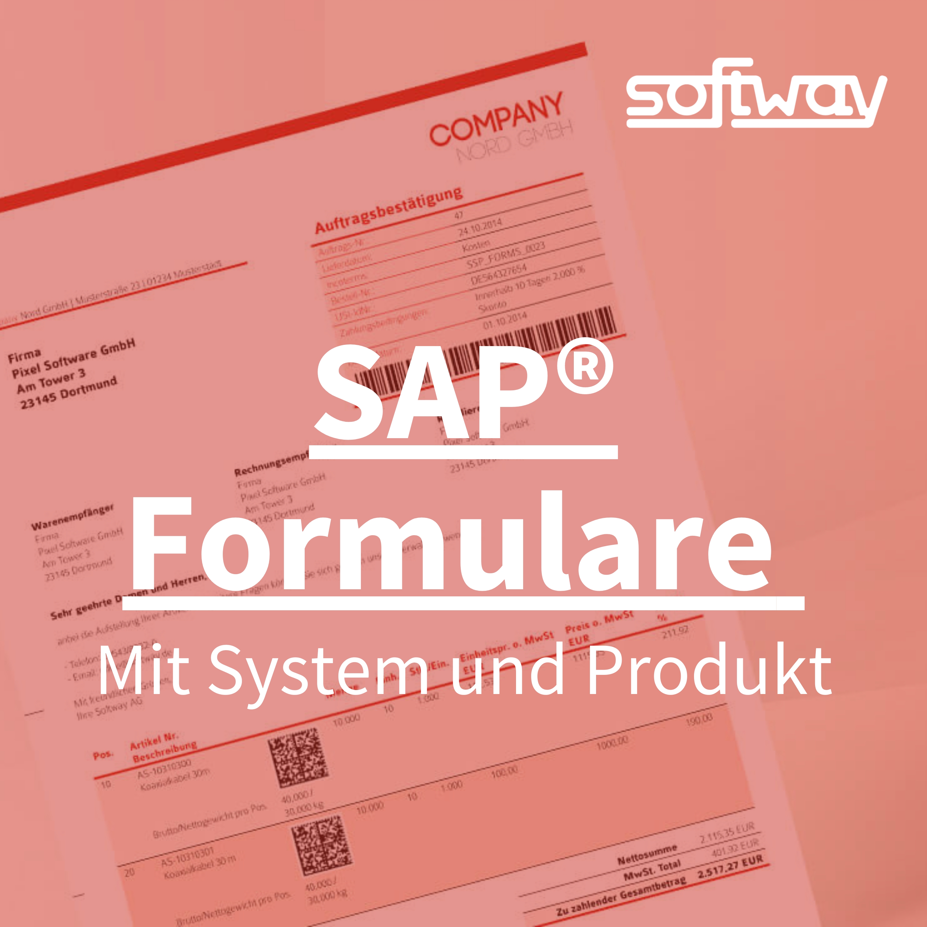 Softway AG_Über das Unternehmen